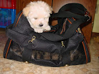 travel_bag
